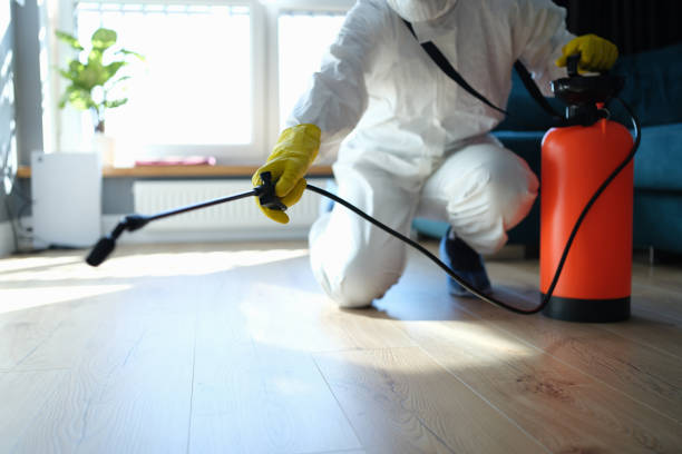 Reliable Infectious Disease Decontamination contractor in San Juan Bautista, CA by Trauma Clean Pros